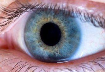 EyeDream Orthokeratology Featured